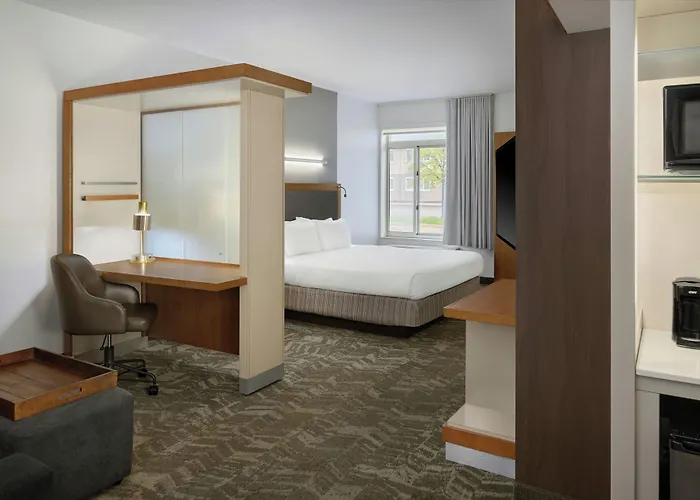 Springhill Suites By Marriott Detroit Metro Airport Romulus